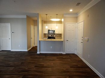 Living and kitchen